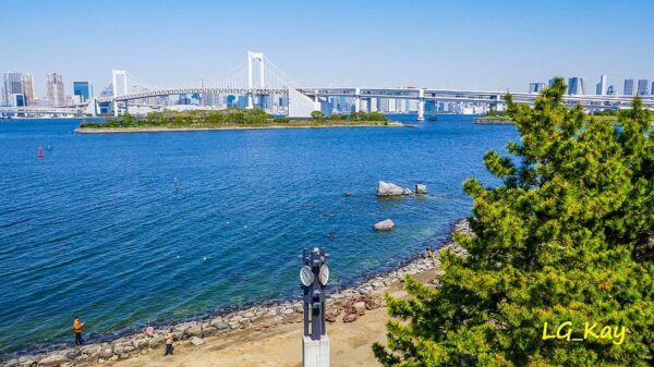 Odaiba Marine Park - Image 3