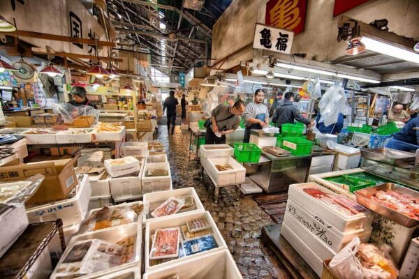 Tsukiji Outer Market - Image 2