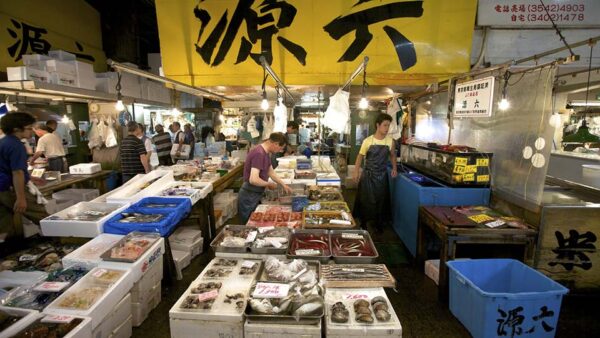 Tsukiji Outer Market - Image 7