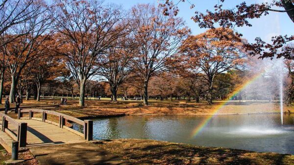 Yoyogi Park - Image 4