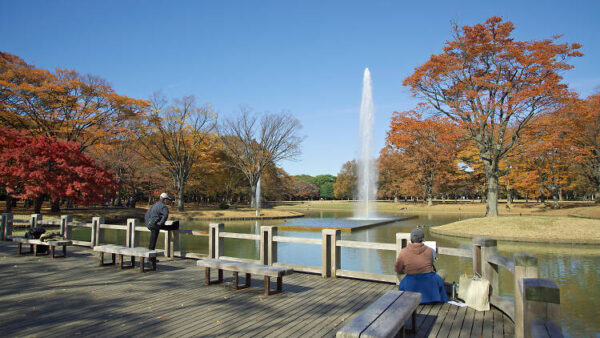 Yoyogi Park - Image 5