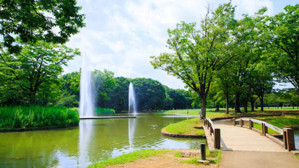 Yoyogi Park