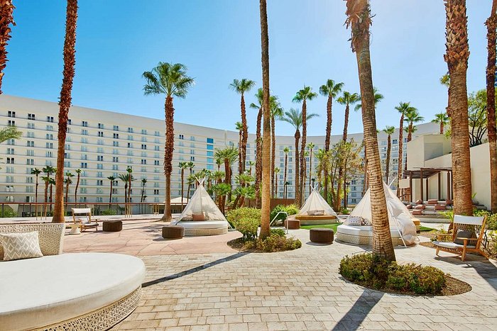 Top 10 Pet-Friendly Hotels in Las Vegas