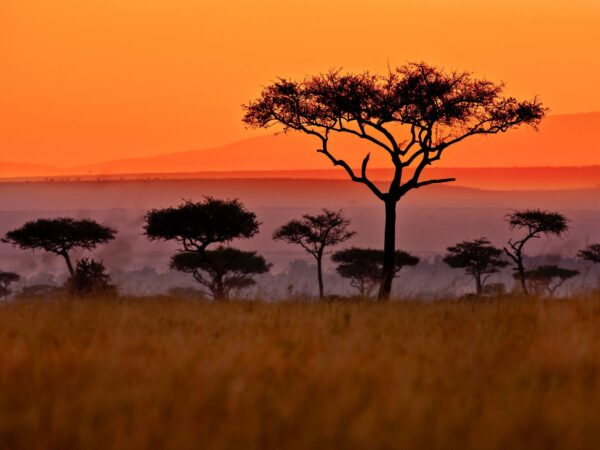 Africa